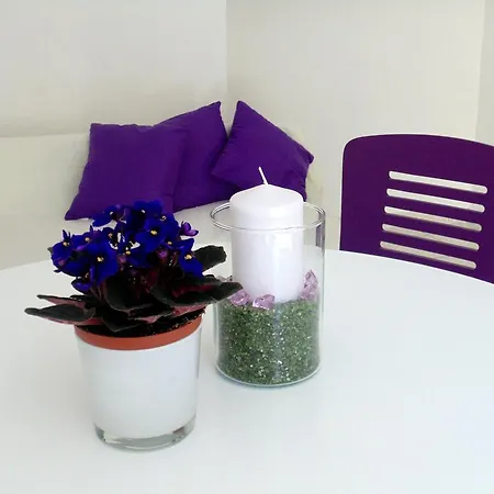 بيت ضيافة Petricevic سبليت